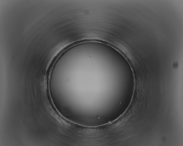 X0000093481076200710191201