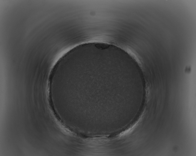 X0000093481077200710191201