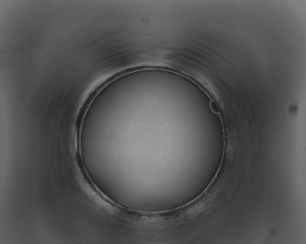 X0000093481080200710191201