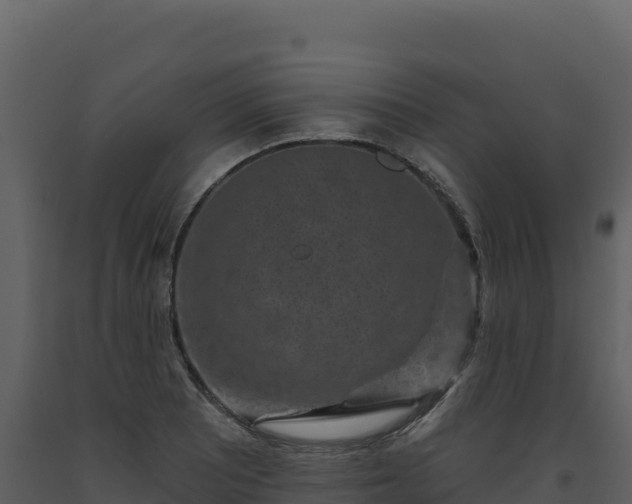 X0000093481081200710191201