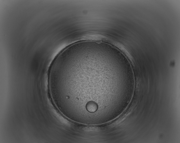 X0000093481083200710191201