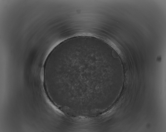 X0000093481084200710191201