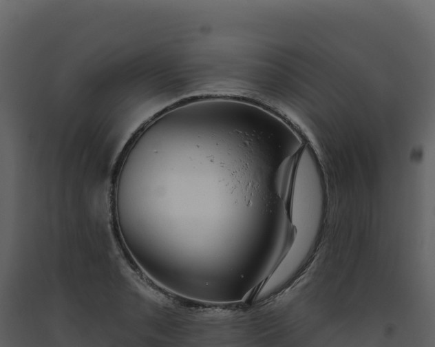 X0000093481085200710191201