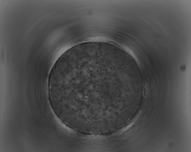 X0000093481087200710191201