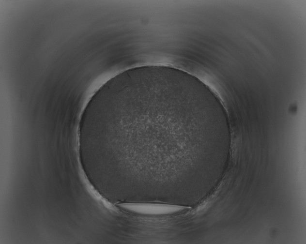 X0000093481088200710191201