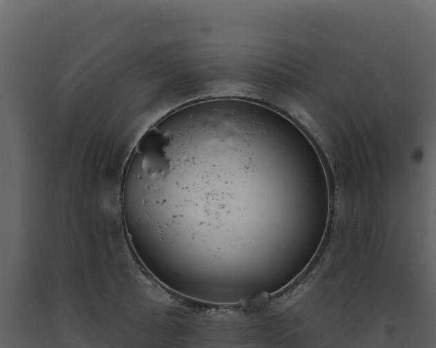 X0000093481089200710191201