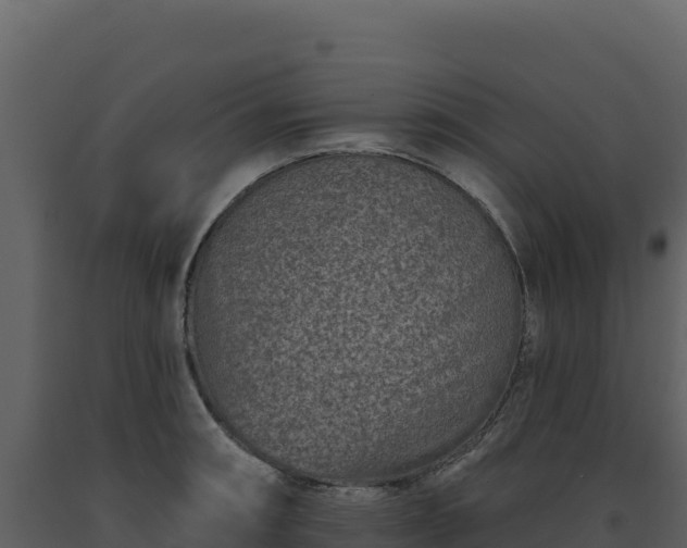 X0000093481090200710191201