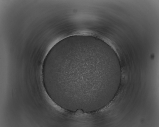 X0000093481091200710191201