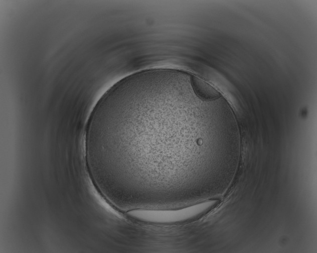 X0000093481092200710191201