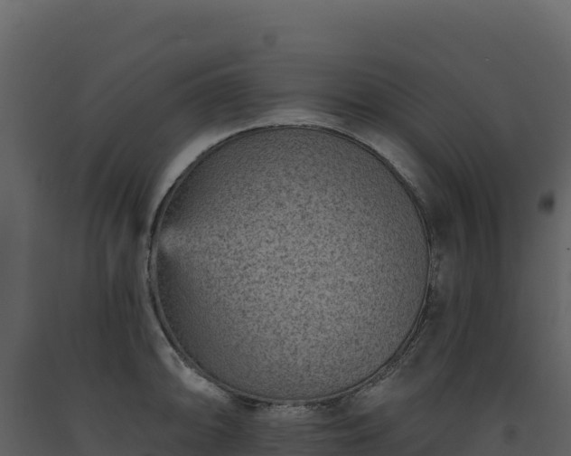 X0000093481094200710191201