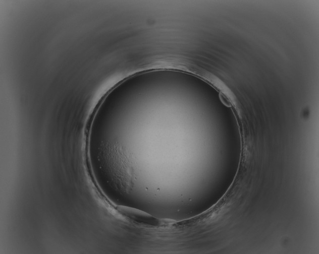 X0000093481096200710191201
