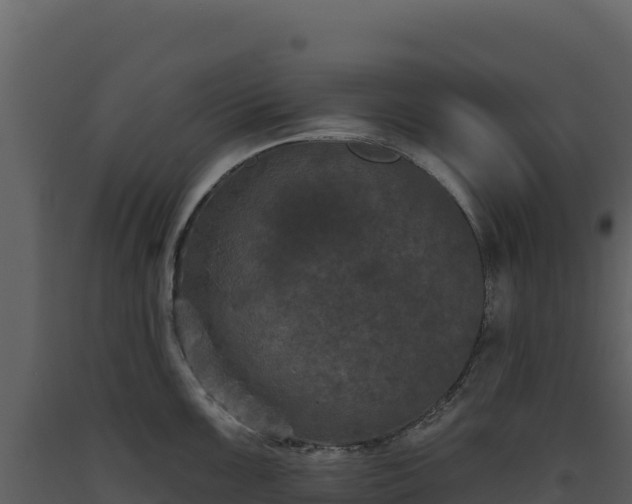 X0000093481099200710191201