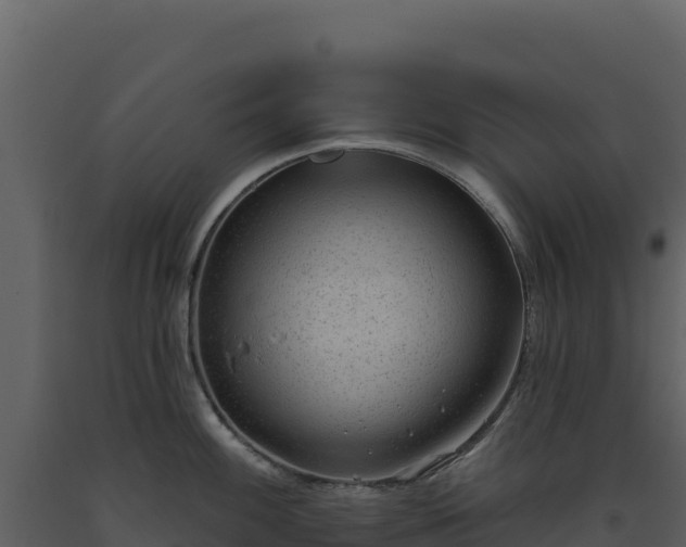 X0000093481100200710191201
