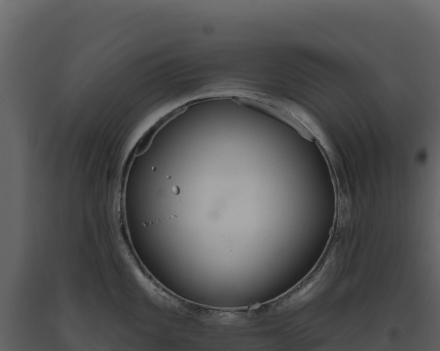 X0000093481101200710191201