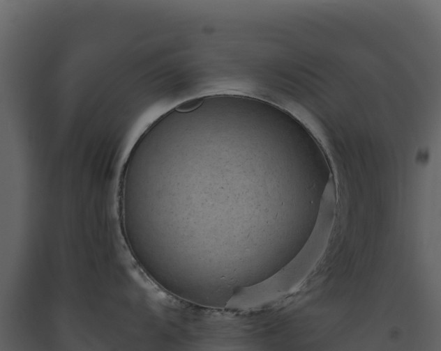 X0000093481104200710191201
