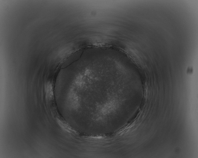 X0000093481106200710191200