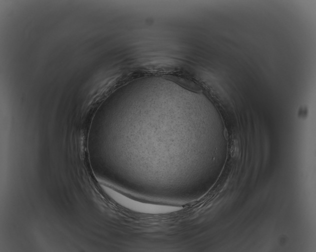 X0000093481108200710191200