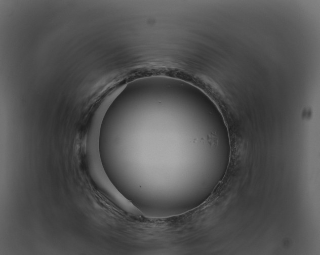 X0000093481110200710191200