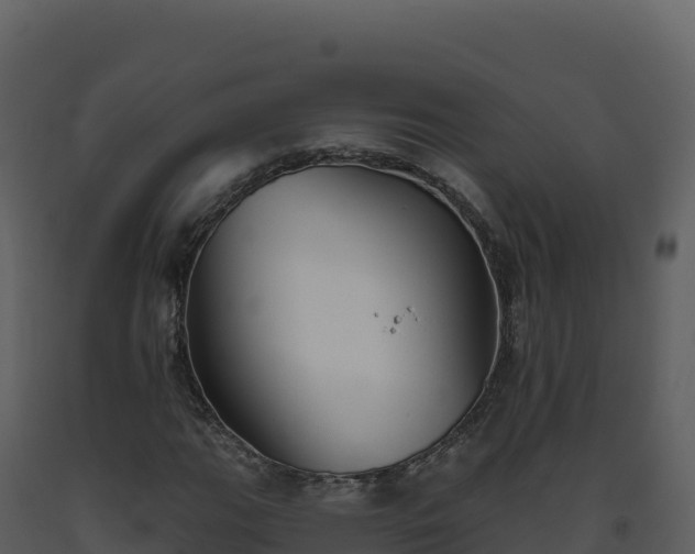 X0000093481111200710191200
