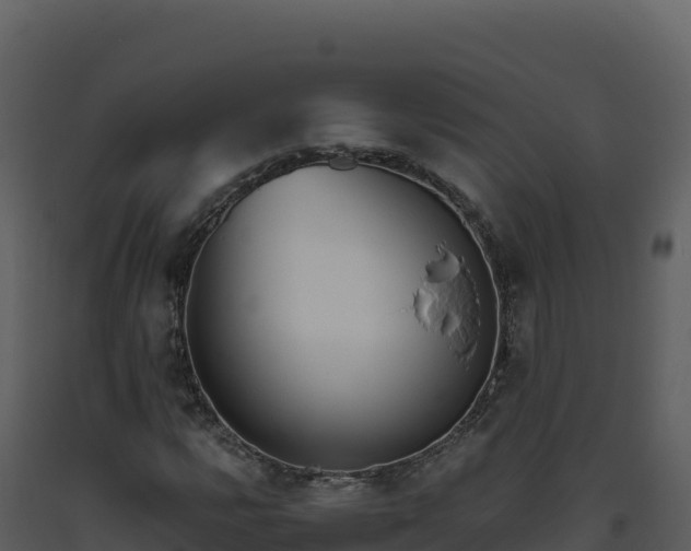 X0000093481112200710191200