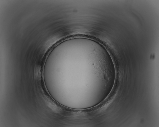X0000093481113200710191200