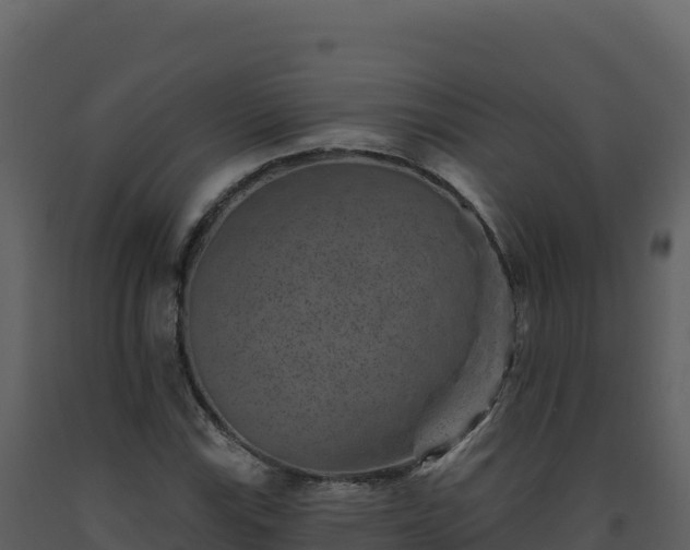 X0000093481115200710191200