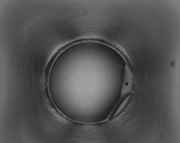 X0000093481116200710191200