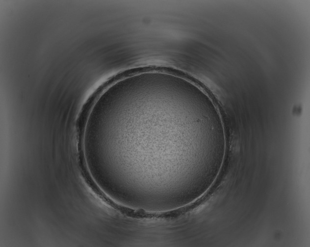 X0000093481118200710191201