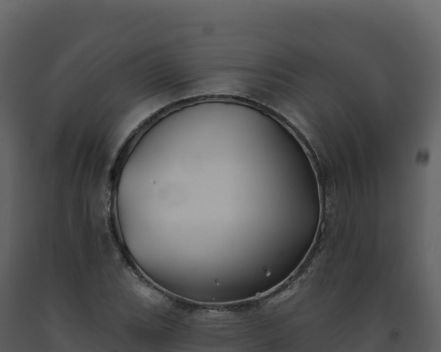 X0000093481119200710191201