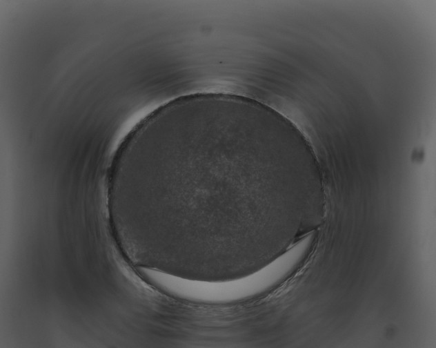 X0000093481120200710191201
