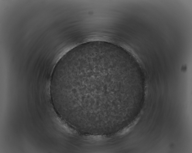 X0000093481121200710191201