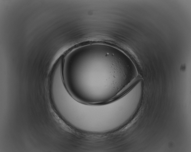 X0000093481122200710191201