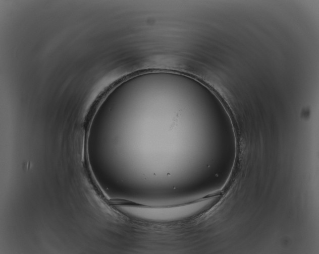 X0000093481123200710191201