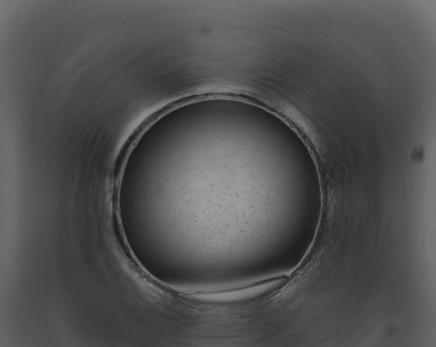 X0000093481124200710191201