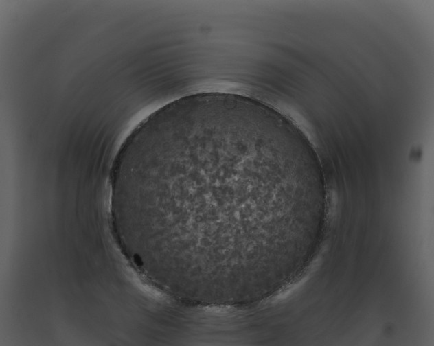 X0000093481125200710191201