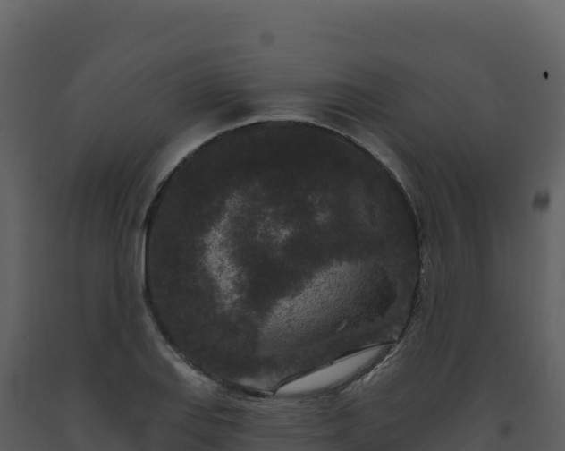X0000093481127200710191201