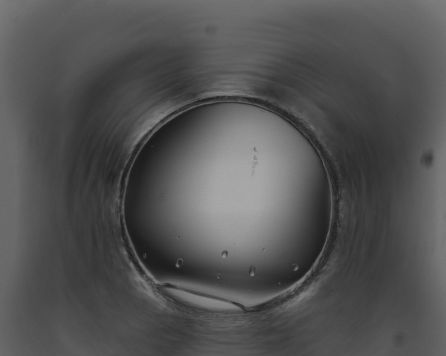 X0000093481129200710191201