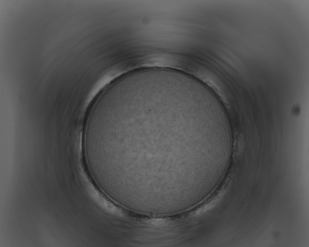 X0000093481130200710191201