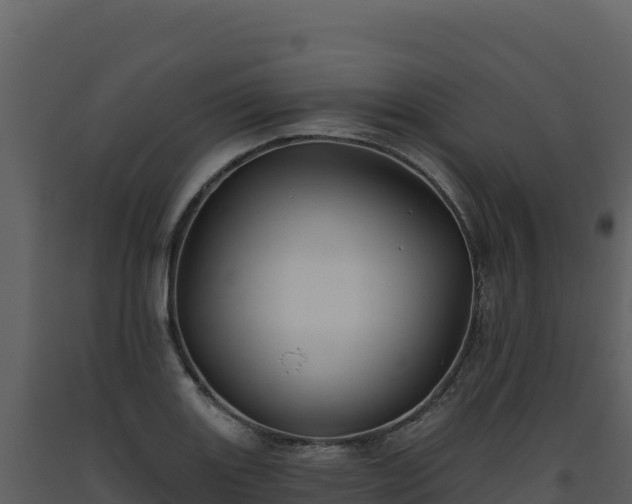 X0000093481131200710191201