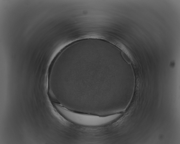 X0000093481132200710191201