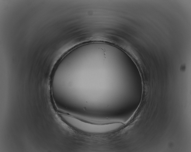 X0000093481133200710191201