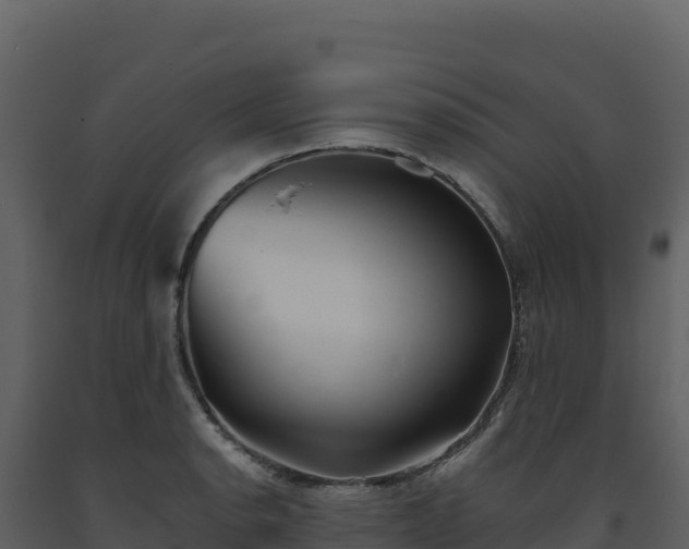 X0000093481134200710191201