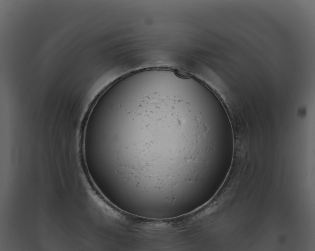 X0000093481135200710191201