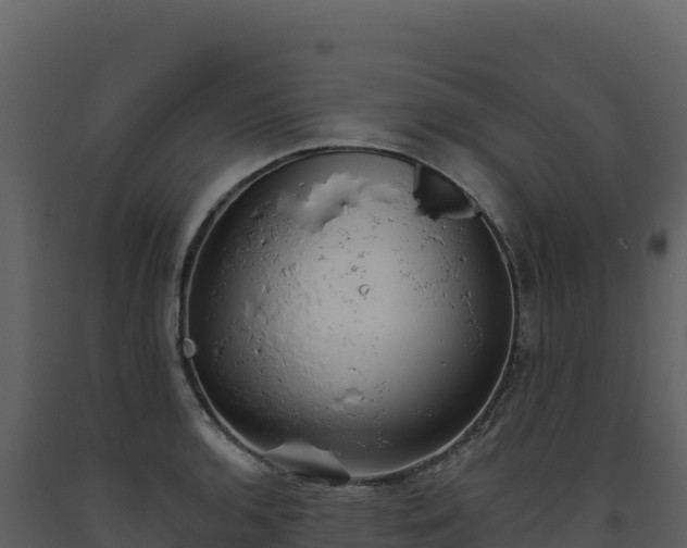 X0000093481136200710191201