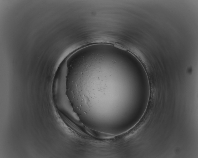 X0000093481138200710191201
