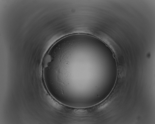 X0000093481140200710191201