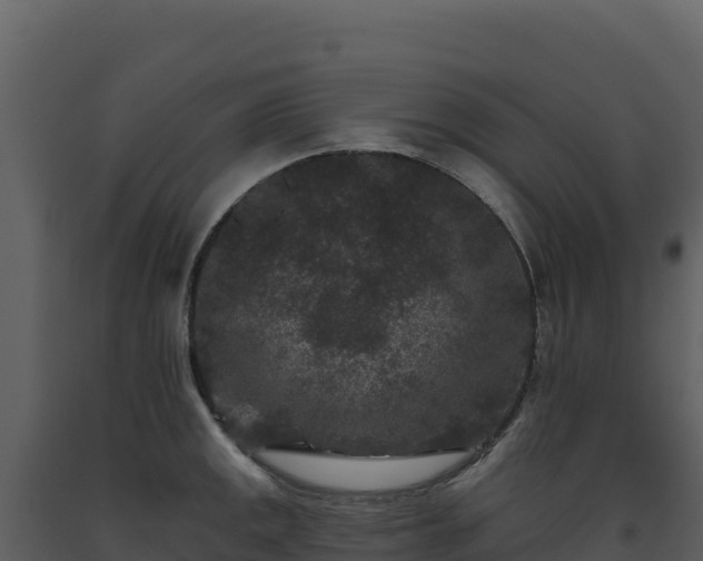 X0000093481141200710191201