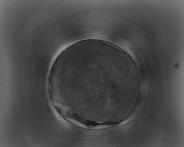 X0000093481144200710191201