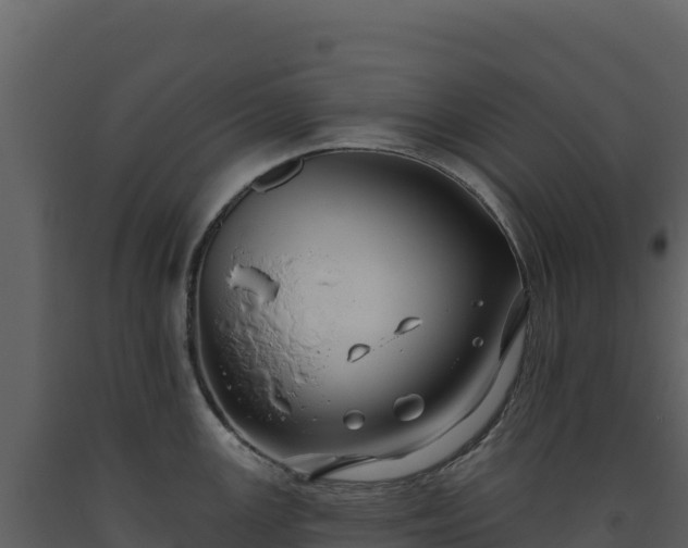 X0000093481147200710191201