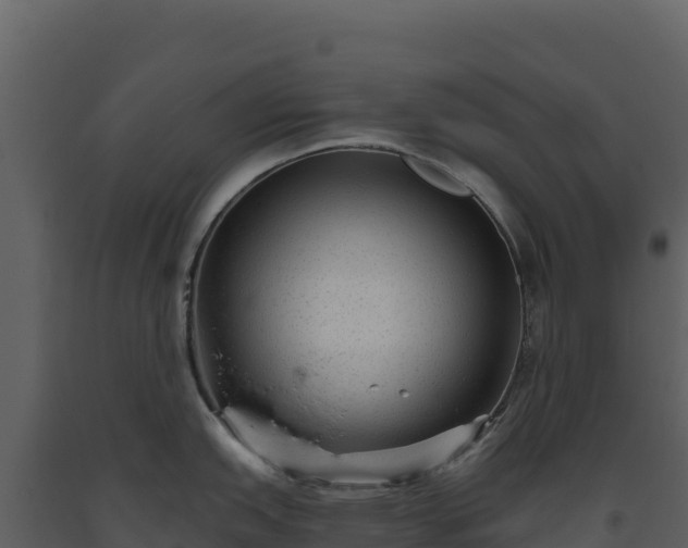 X0000093481151200710191201